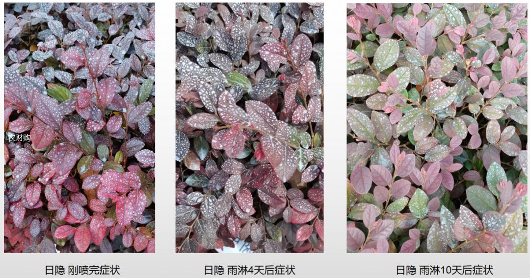 防晒品排行榜前十名12岁,防晒用品排行榜第一名