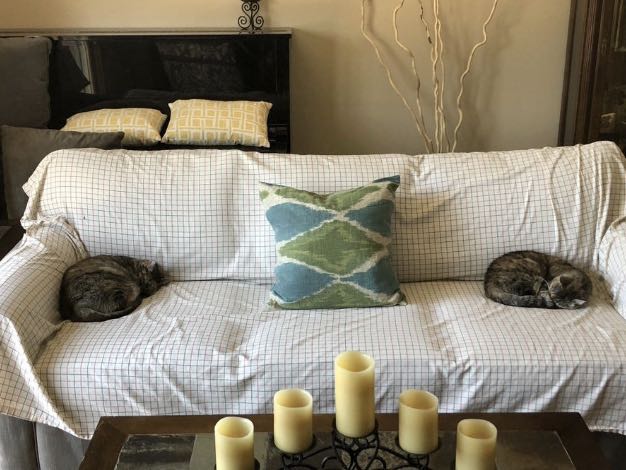 新冠病毒国外怎么防控,新冠病毒国外防控