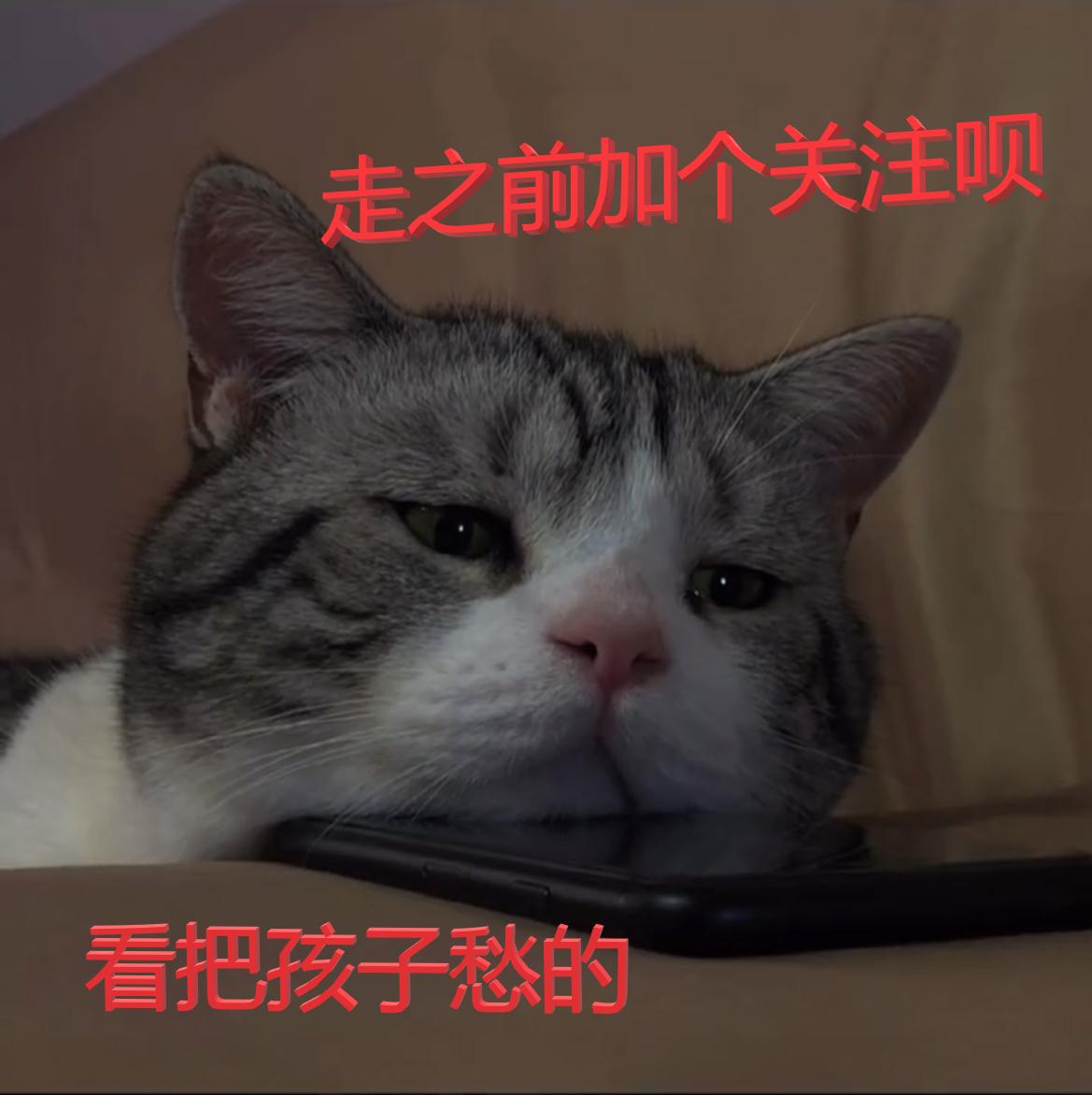 千股跌停后市如何看涨,千股跌停后市怎么走