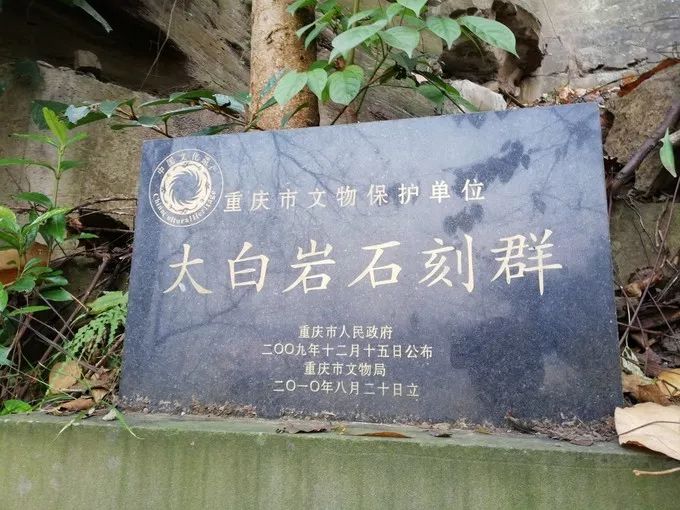 重庆万州旅游全攻略自由行,重庆万州旅游攻略详细