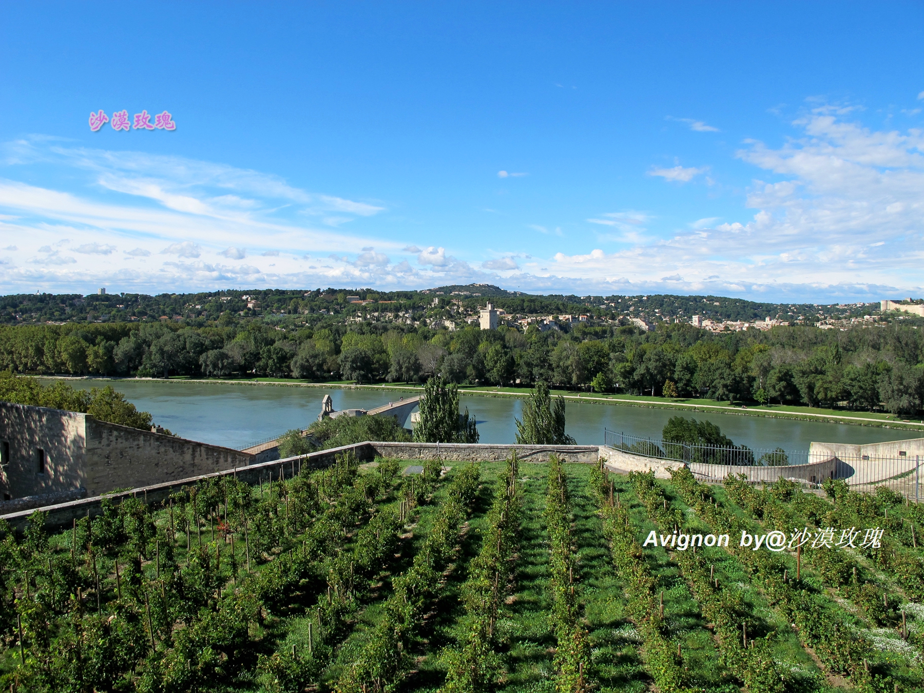 普罗旺斯有浪漫的薰衣草,普罗旺斯未开的熏衣草