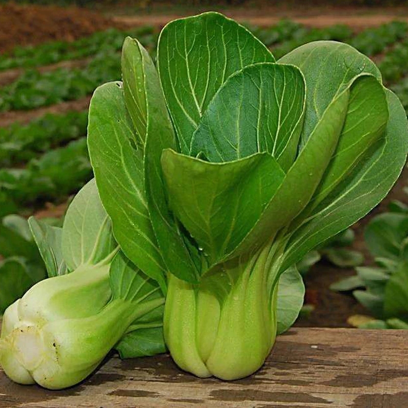 助消化的蔬菜有哪些,想促消化喝什么好