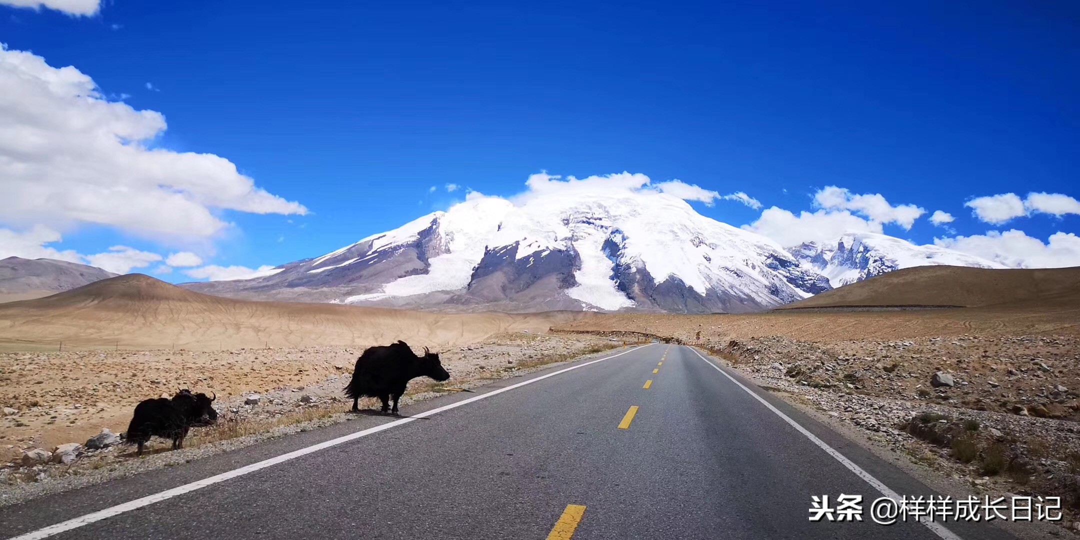 自驾新疆进疆需要注意什么,自驾入疆要求