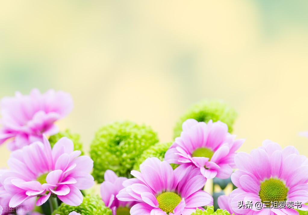 愚人节你是选择玩笑还是真心话,开着玩笑说着真心话愚人节