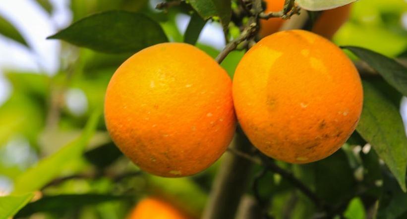 忠县美食大合集！它！很多忠县人都爱吃！没想到