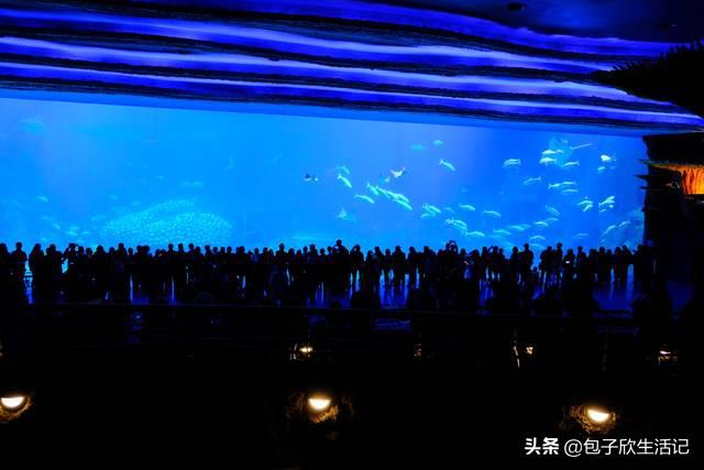 亲子珠海长隆海洋王国一日游攻略,珠海长隆海洋王国游玩攻略亲子
