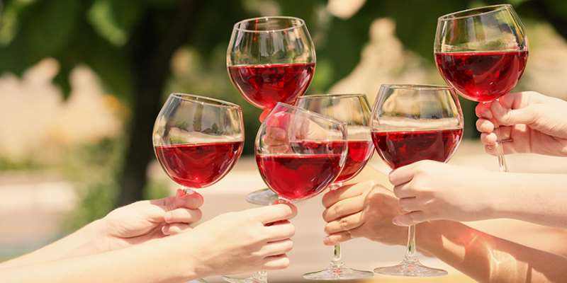 红酒入门如何挑选红酒品牌,勃艮第村庄级红酒入门