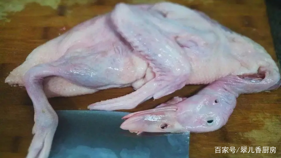 家养鸭子怎么处理粪便,农村鸭子怎么养吃什么