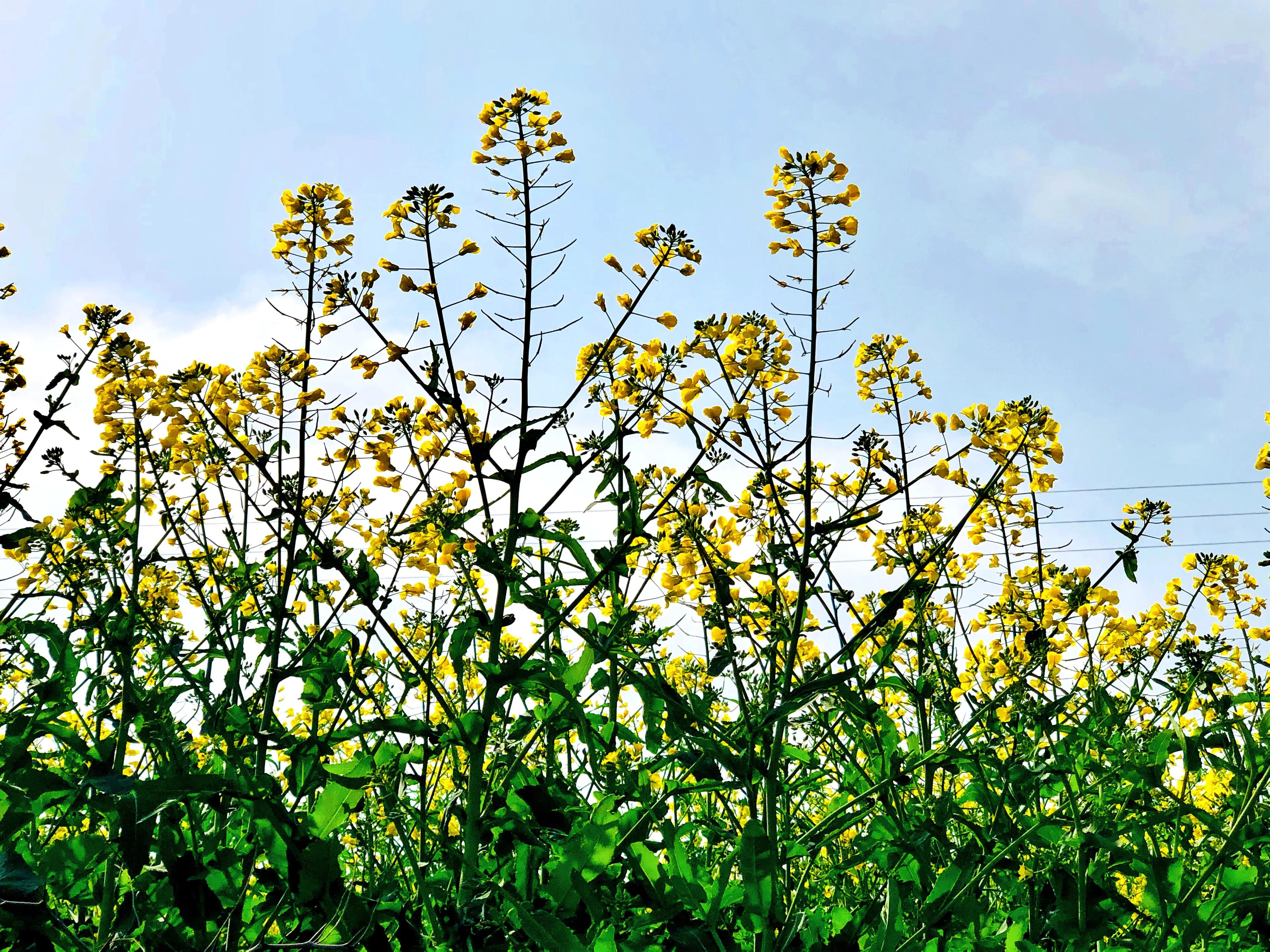 金塘半日游,白鹿原一日游攻略