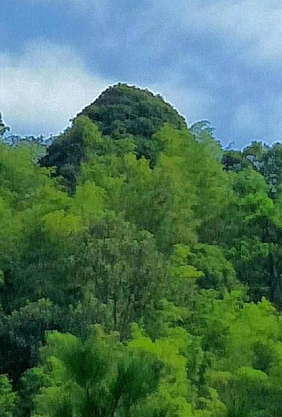 江湖路的风景视频,江湖路上走走停停