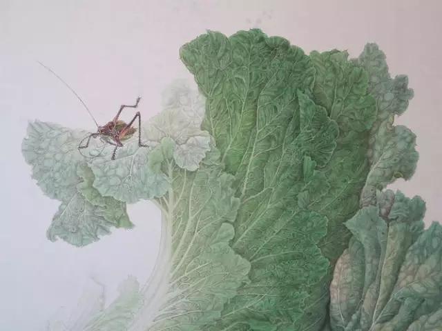 画白菜技法,3d白菜画