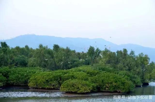惠州的发展不可限量,惠州越来越繁荣昌盛