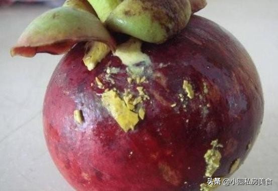 新鲜山竹水果怎么挑,现采摘新鲜山竹怎么挑选