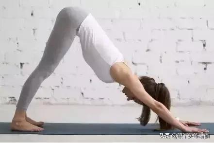下犬式的好处,每天下犬式有什么好处