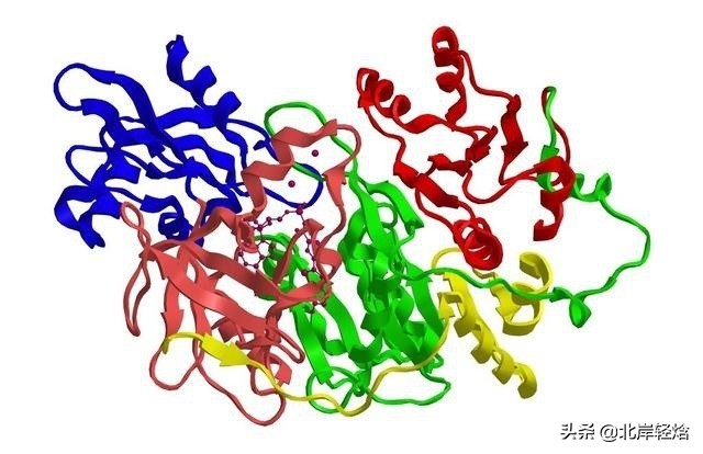 萤火虫发光原理,萤火虫的发光原理实验