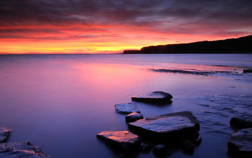 合作协议范文怎么写,合作协议文本