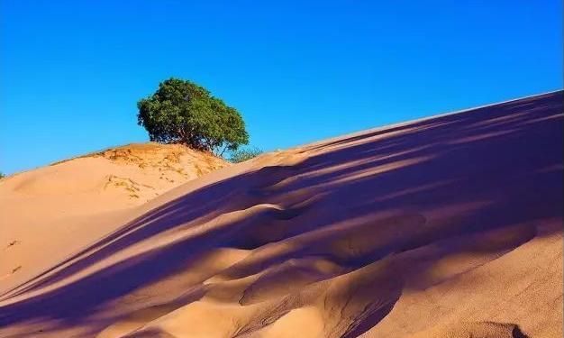 辽宁康平县城,康平绿化