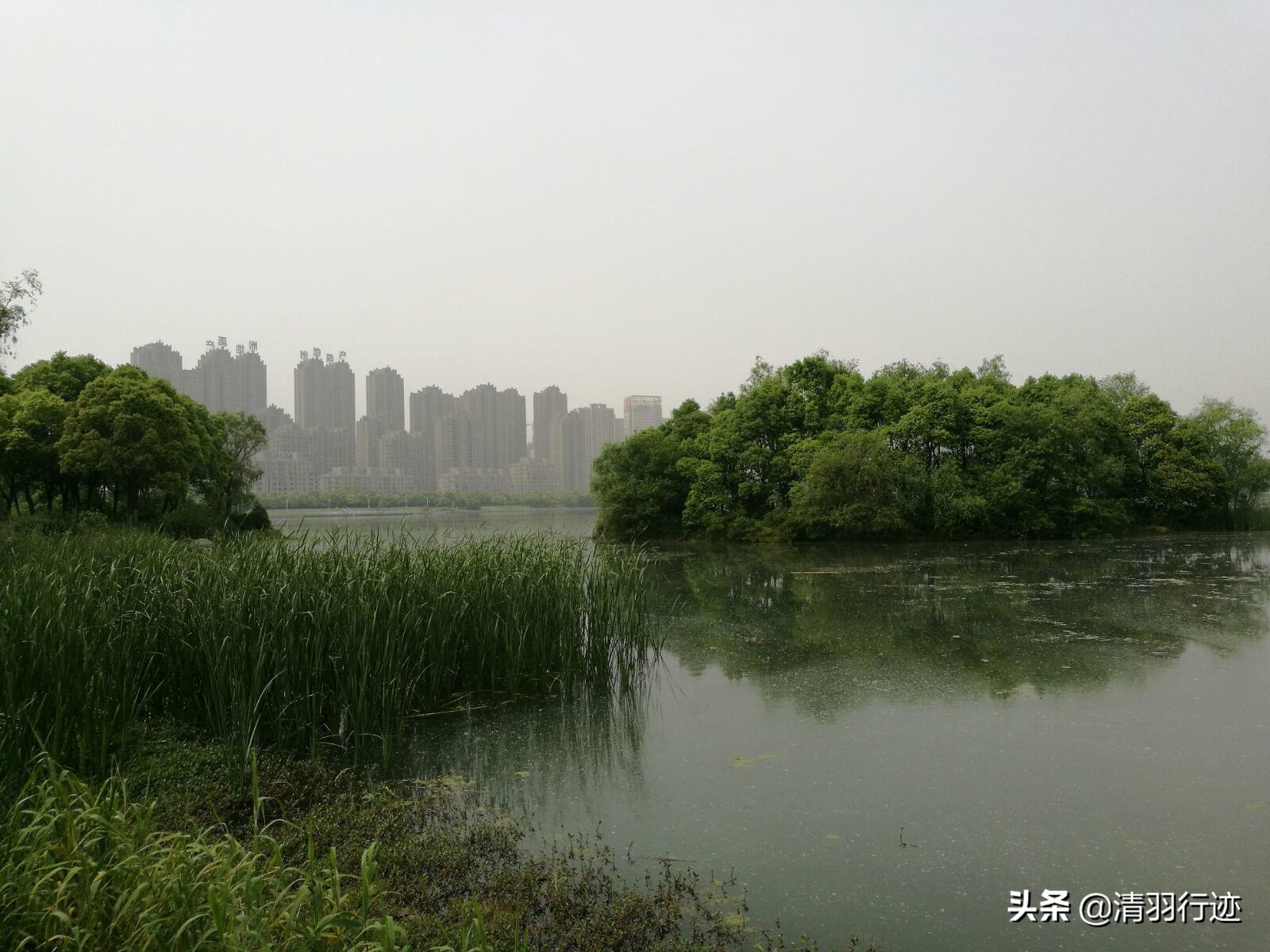 合肥有个很出名的湖,合肥有湖有公园