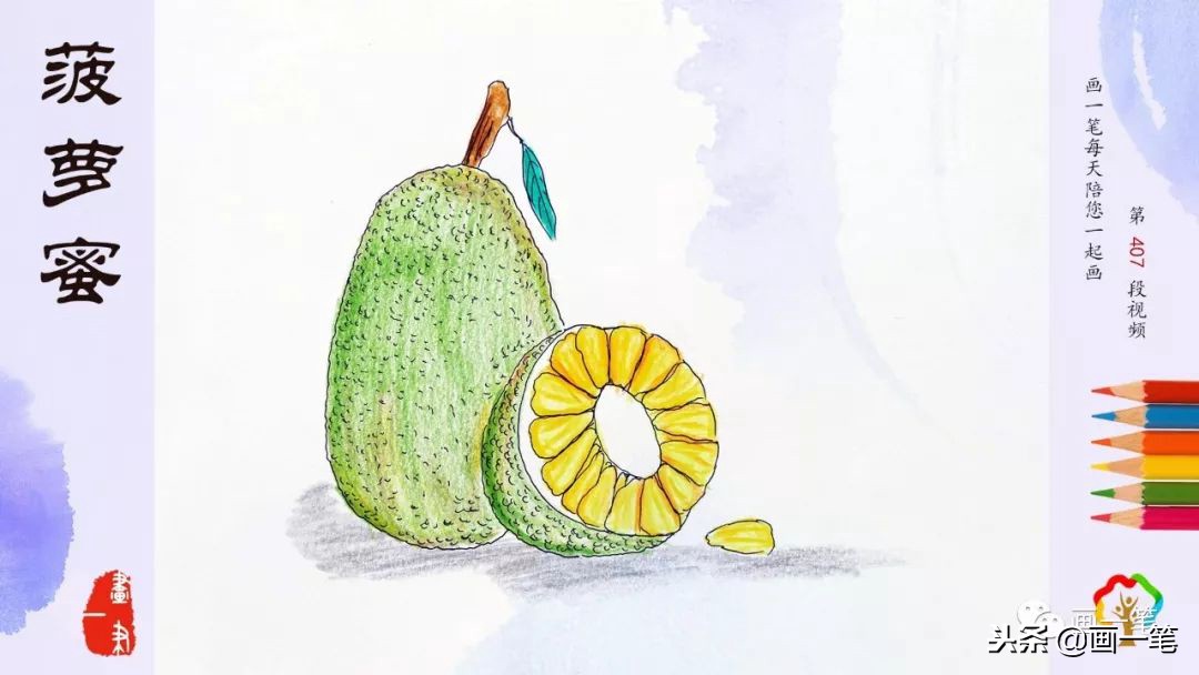 用彩铅简单画法画榴莲,彩铅画画昆虫