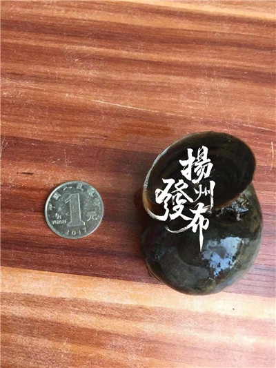 野外的东西可别乱吃,野外的东西尽量不要乱吃