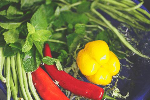 营养密度与能量密度,营养密度这是什么概念