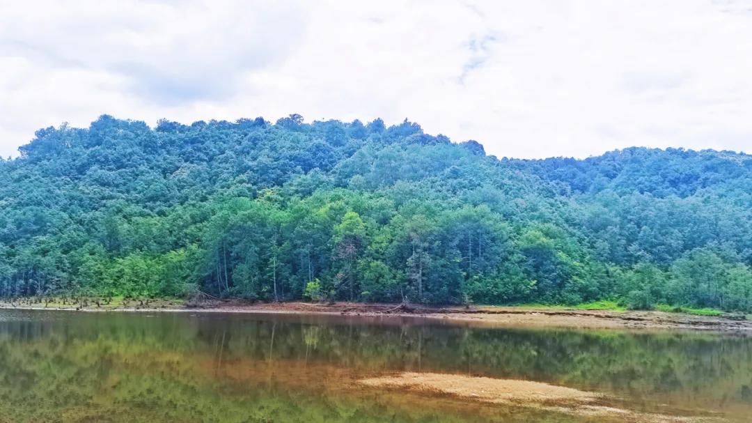 不要你觉得只要我觉得语录,腾冲避暑好去处