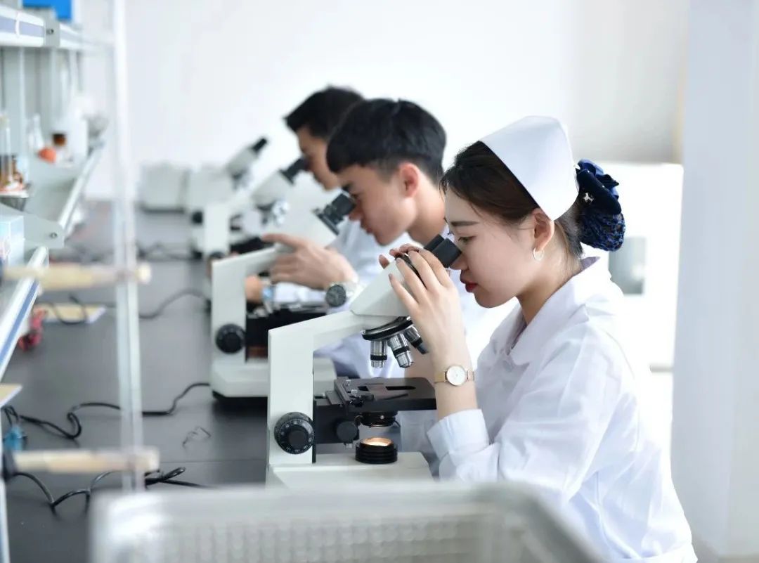 青岛黄海学院官网招生章程,青岛黄海学院2023招生简章章程