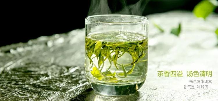 碧螺春雀舌黄山毛峰哪个绿茶好,龙井毛峰碧螺春都是绿茶吗