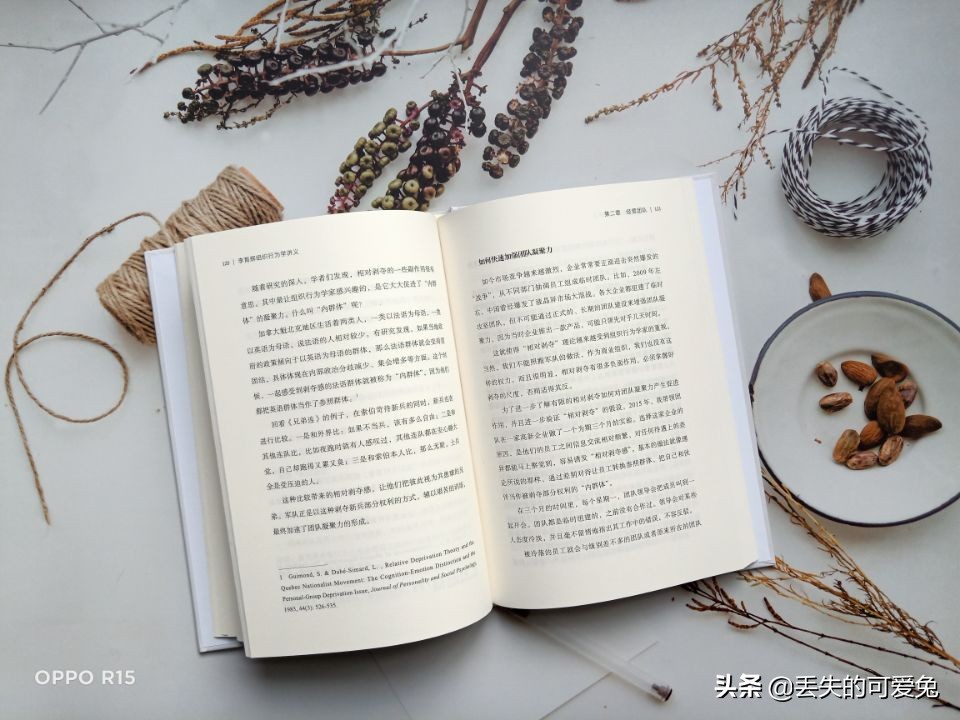 有趣的团体活动策划方案,有趣的组织名称大全