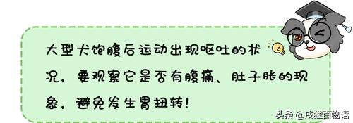 狗狗拉肚子和呕吐要禁食几天,狗狗呕吐与治疗