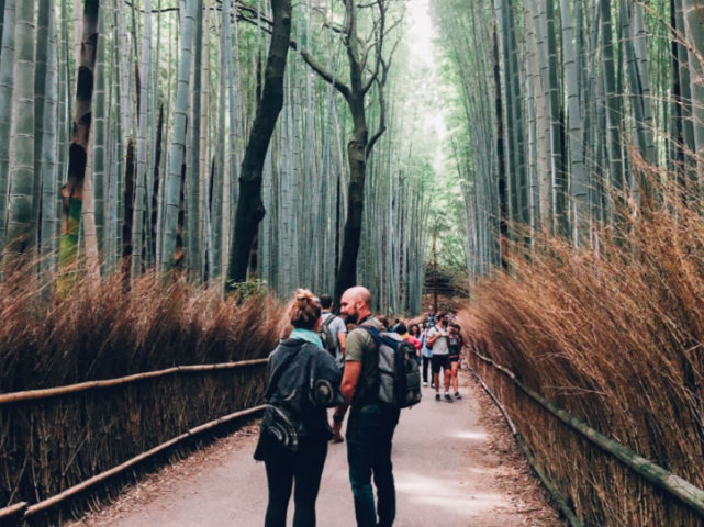 日本妹子将来可能金发碧眼？未婚、性少数群体不得不用外国精子库