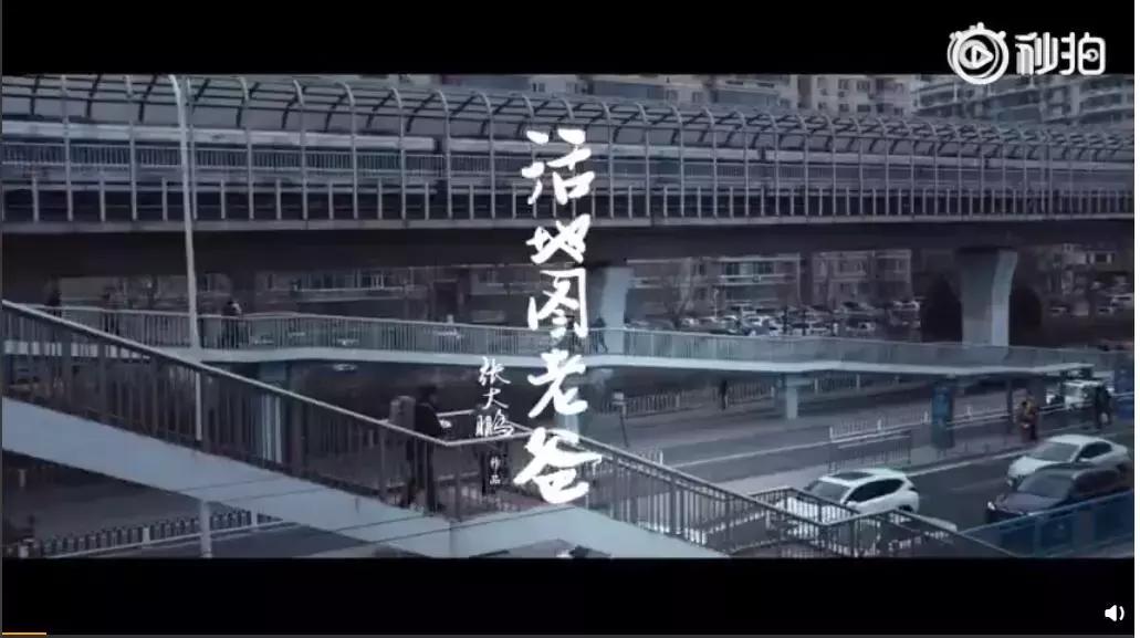 什么是佩奇让人泪目,啥是佩奇视频导演