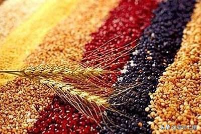 酒池肉林这样穷尽想象力的奢靡,是否是殷商*国亡**的主因?