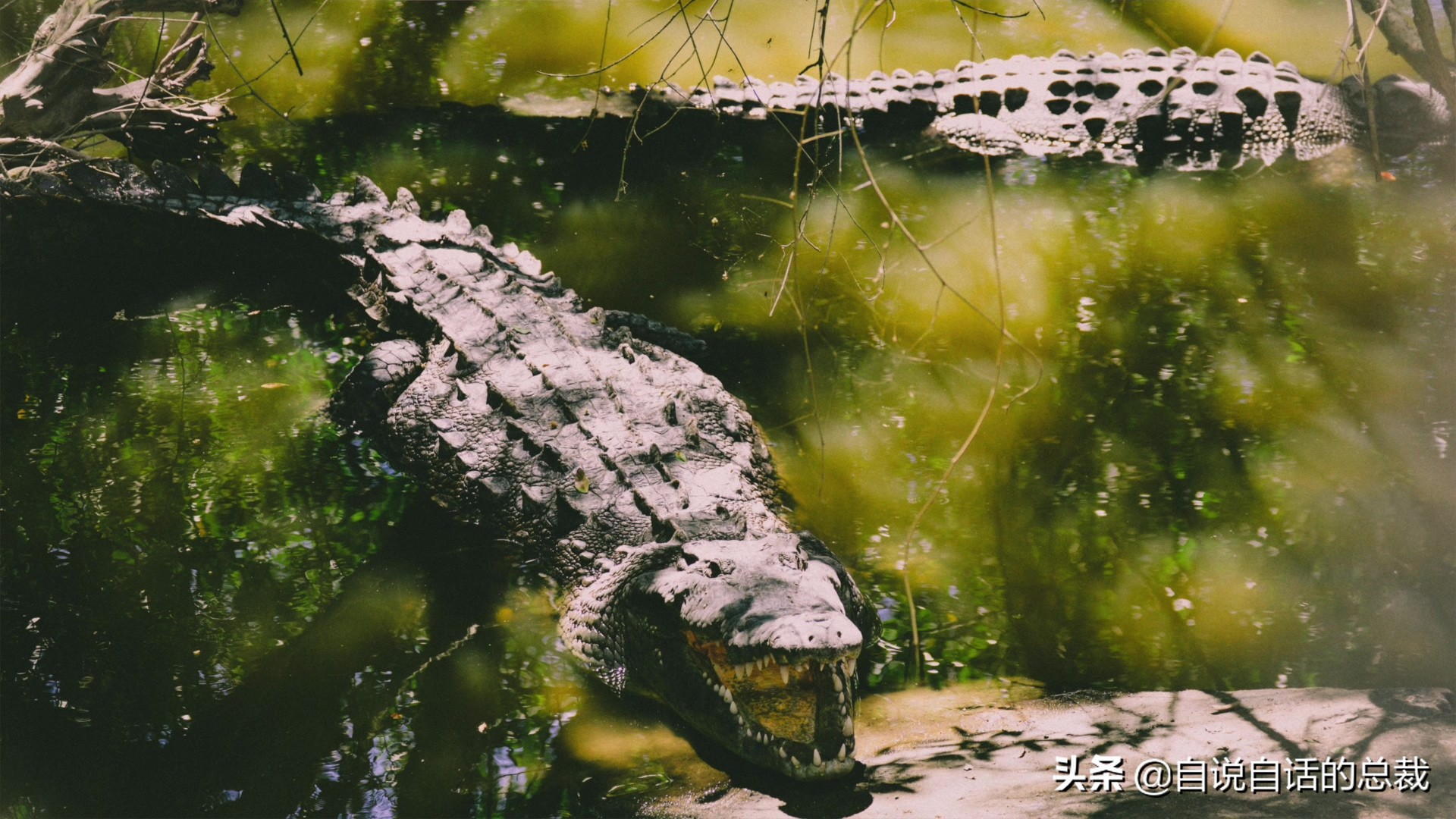 阿努纳奇创造人类7次文明,阿努纳奇人类起源