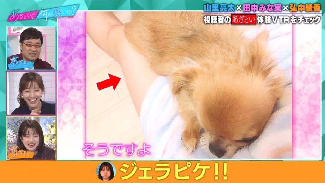 教人撩汉的岛国综艺，多少人边骂边做笔记