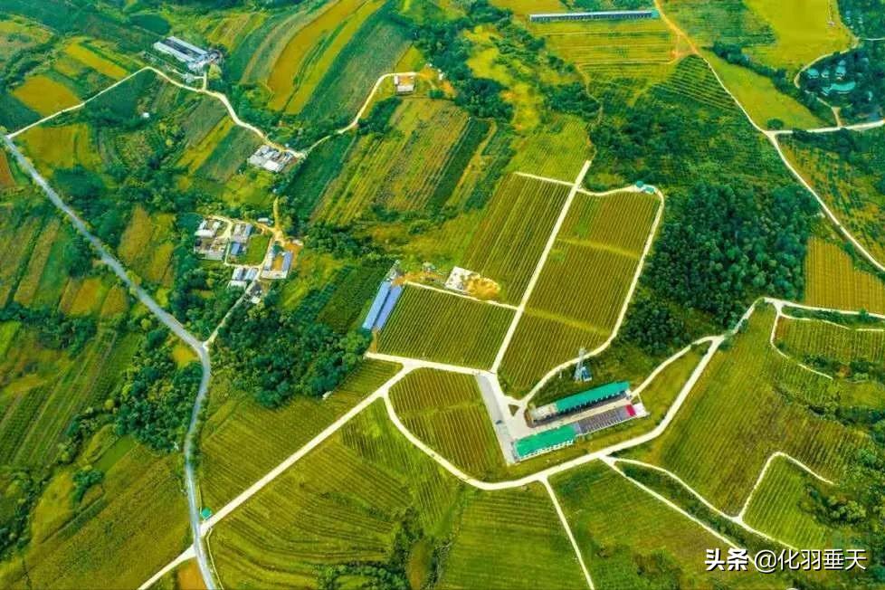 大连普兰店区旅游攻略,大连神仙岛旅游攻略