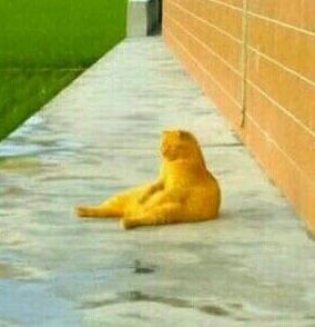 你的防晒真的挑对了吗,选对防晒真的太重要啦