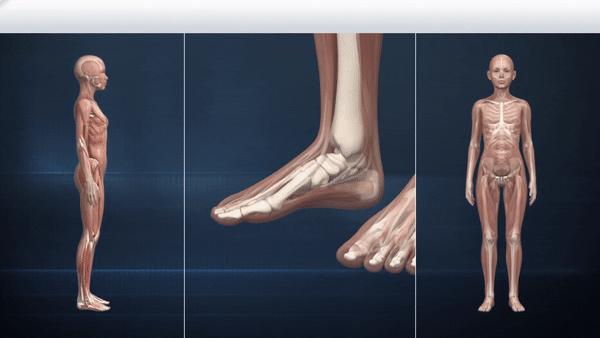 合脚的鞋只有脚知道,合脚的鞋子好吗