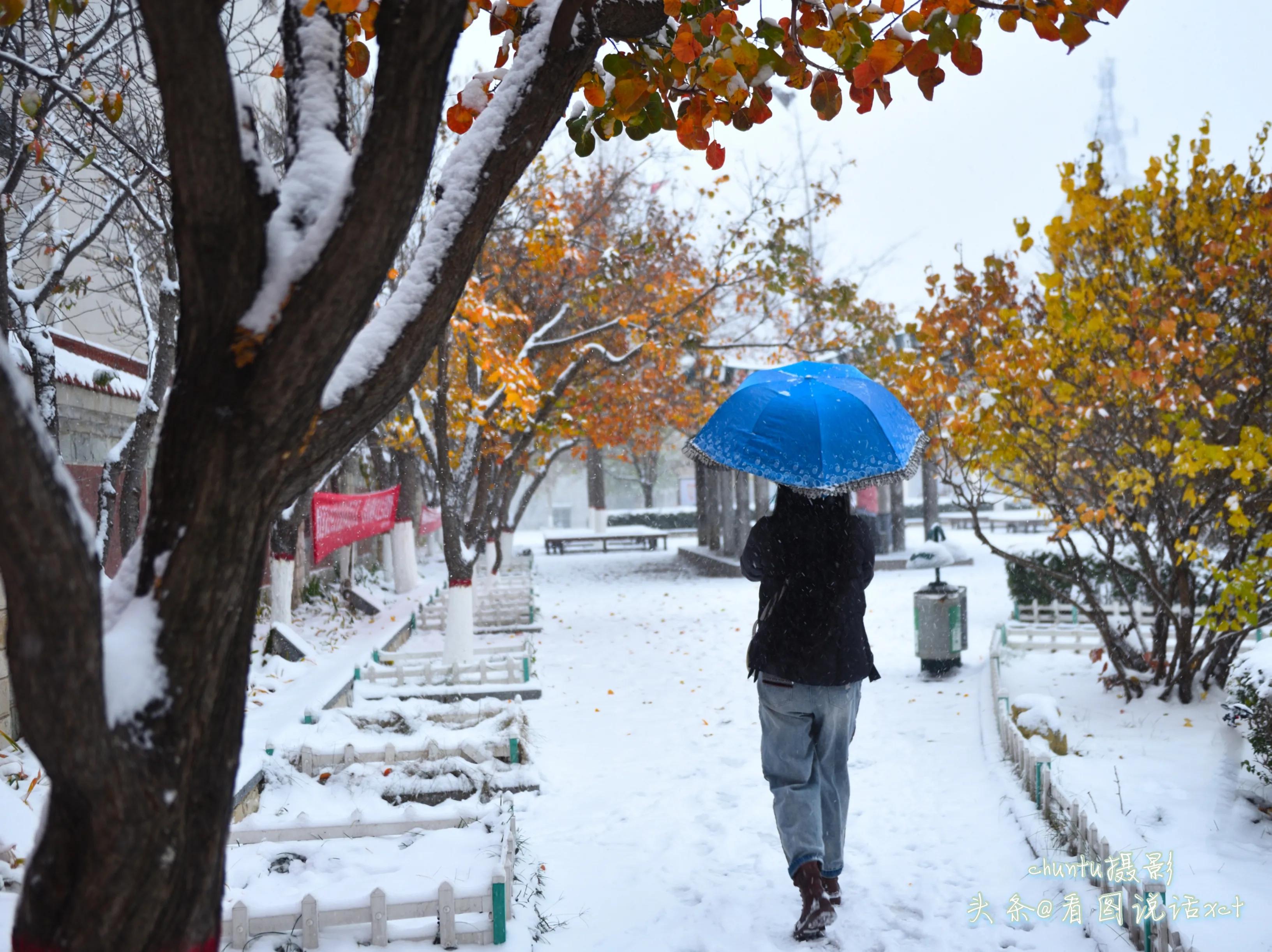 青龙下雪的情景,青龙县今天下雪了吗