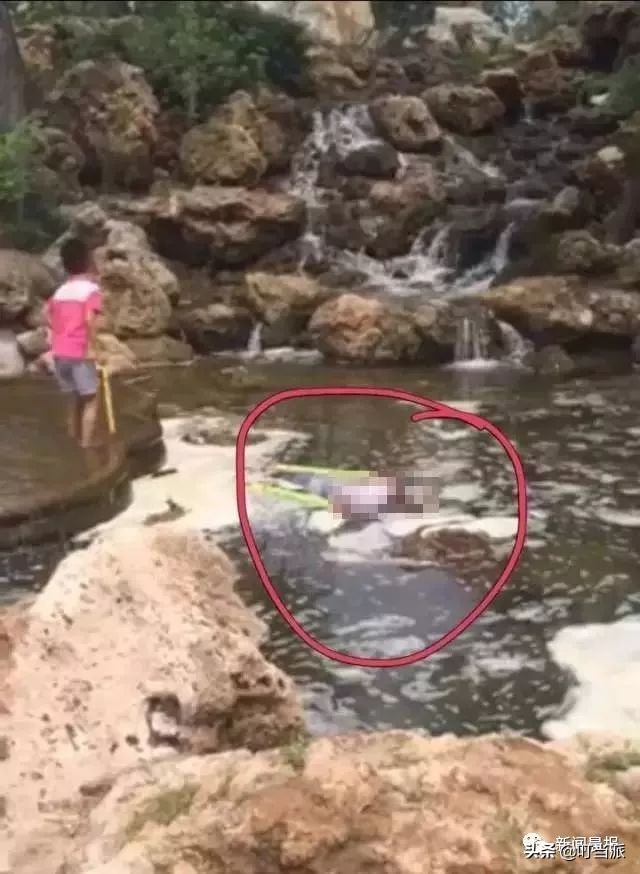 小孩玩健身器材死亡后续,小男孩玩健身器材时夹骨折