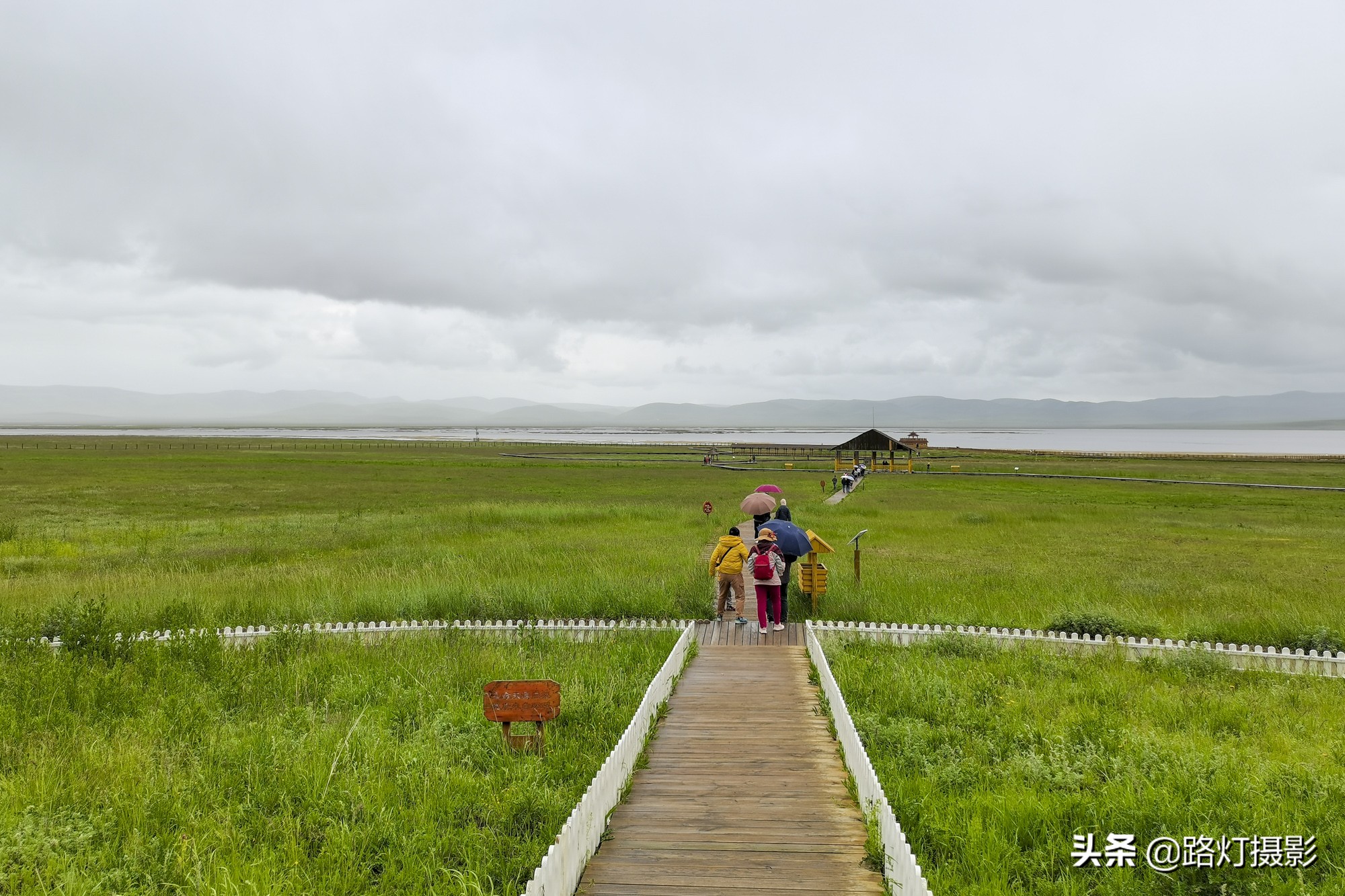 惊艳！八月最佳旅行地，“绝色甘南”美成仙境，所有景区免门票
