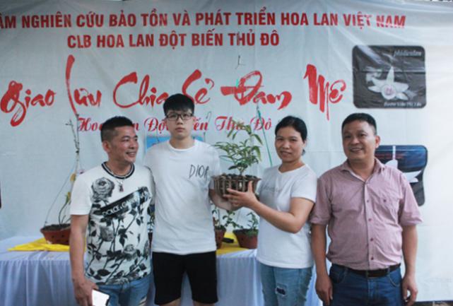 兰花稀有品种购买,兰花最稀有品种