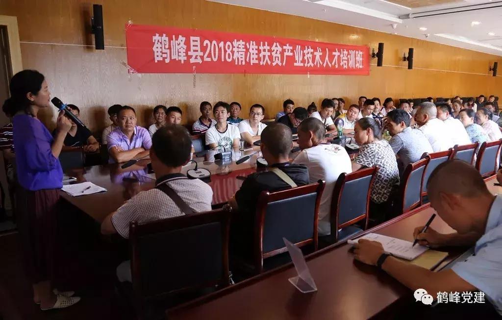 鹤峰最大批发超市,鹤峰有什么大型超市