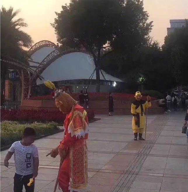 狗狗偷吃红烧肉还把主人坑惨了,狗狗偷吃了好多宠物零食