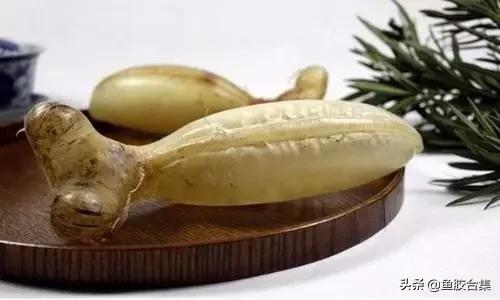 花胶一共有几种类型的品种,花胶种类中哪种最好