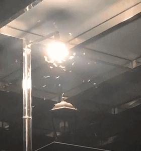 大水蚁进屋能活多久,大水蚁入侵房子