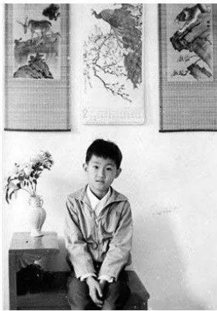 马化腾鹅城,马化腾鹅厂年会