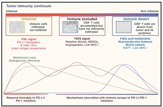 肿瘤免疫治疗的最新突破,肿瘤免疫治疗的适应症和禁忌症