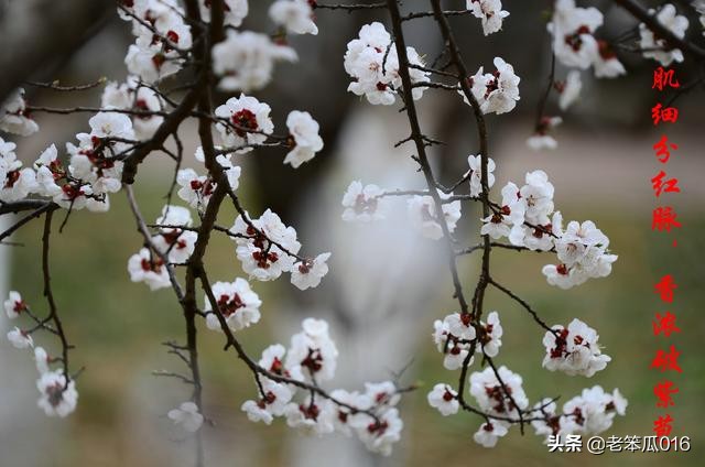 一个高三生的自白,别人家孩子学习好都是怎么学的
