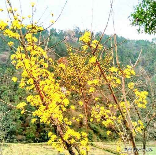 走遍中国湖北郧县,走遍竹山